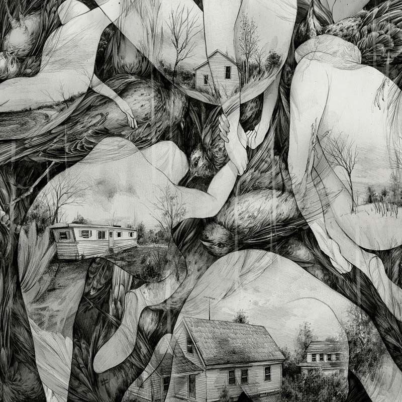 Mono - Rays Of darkness