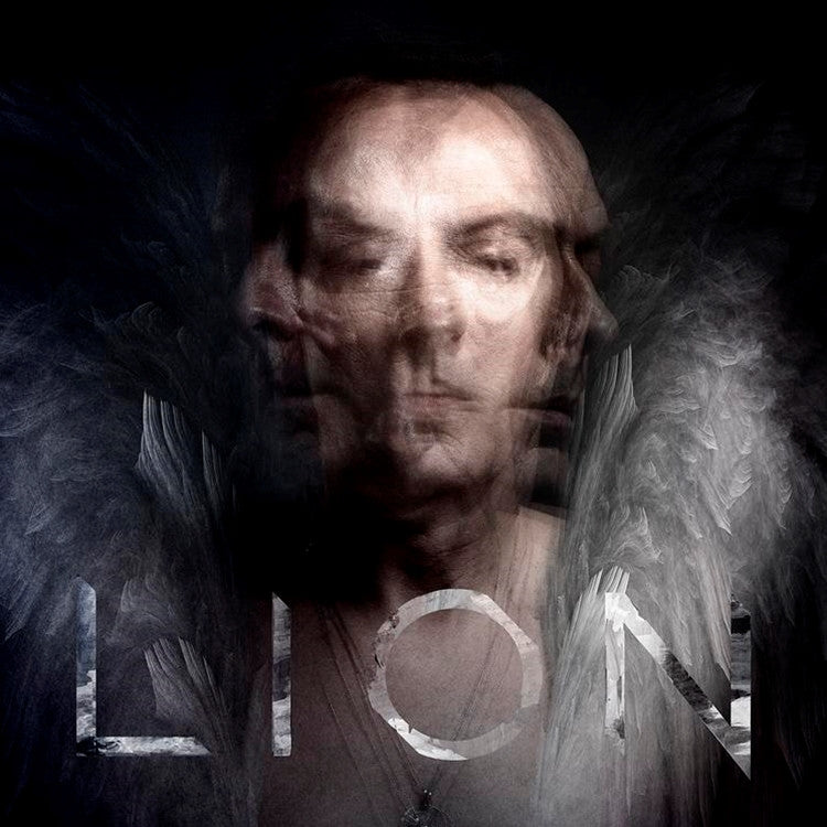 Murphy, Peter - Lions