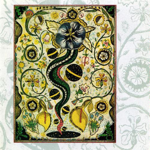 Earle, Steve - I Feel Alright