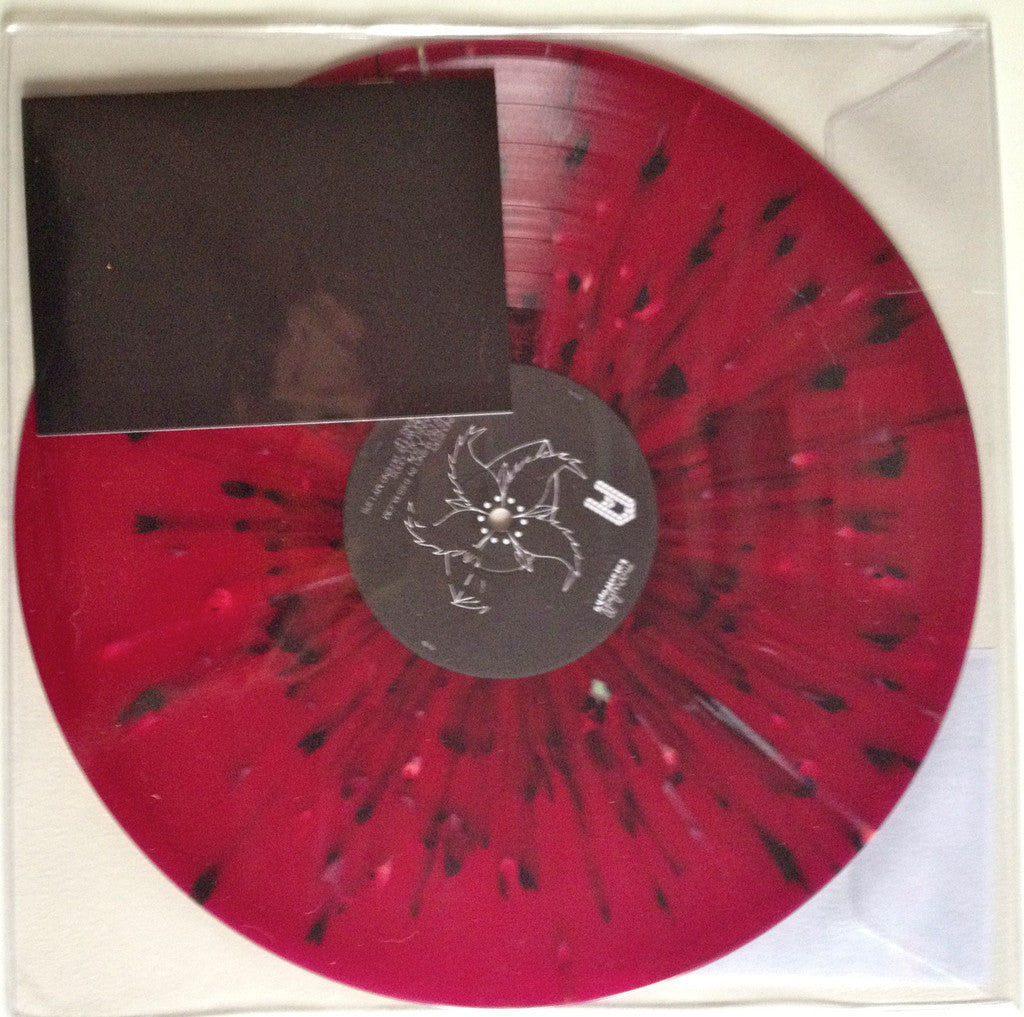 Marybell Katastrophy - Amycoala