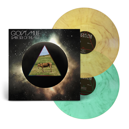 Gov't Mule - Dark side of the mule