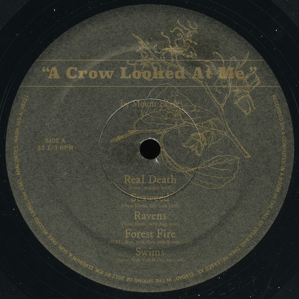 Mount Eerie - Crow Looked At Me