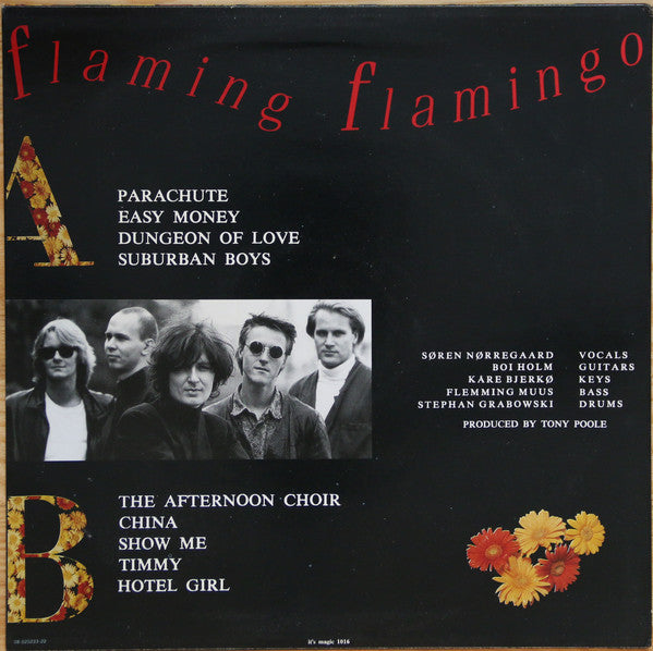 Janes Rejoice – Flaming Flamingo