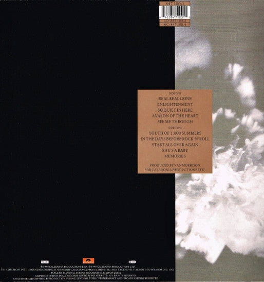 Morrison, Van - Enlightenment