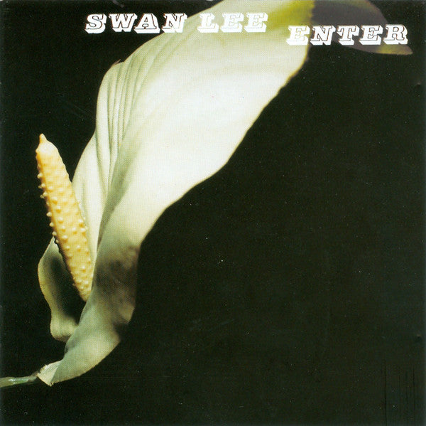 Swan Lee – Enter