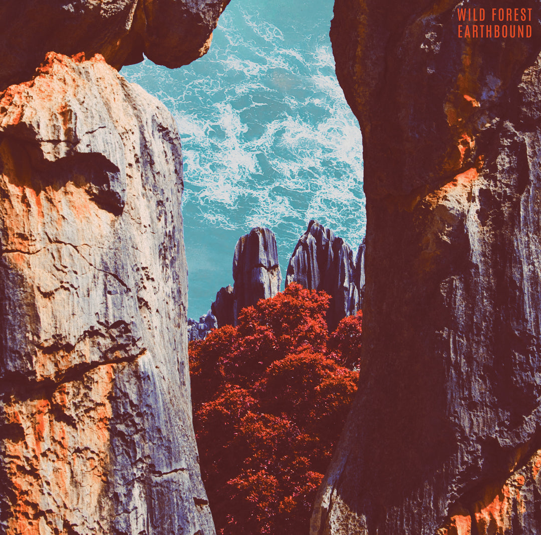 Wild Forrest - Earthbound