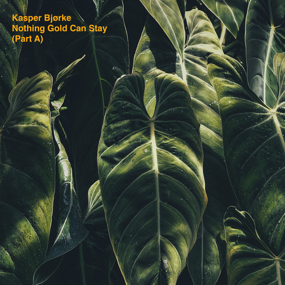 Bjørke, Kasper - Nothing Gold Can Stay (Part A)