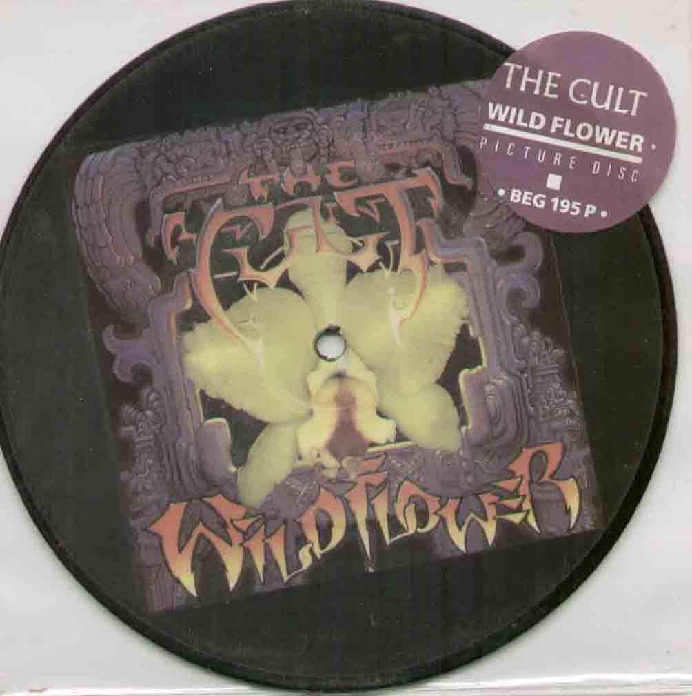 Cult - Wild Flower