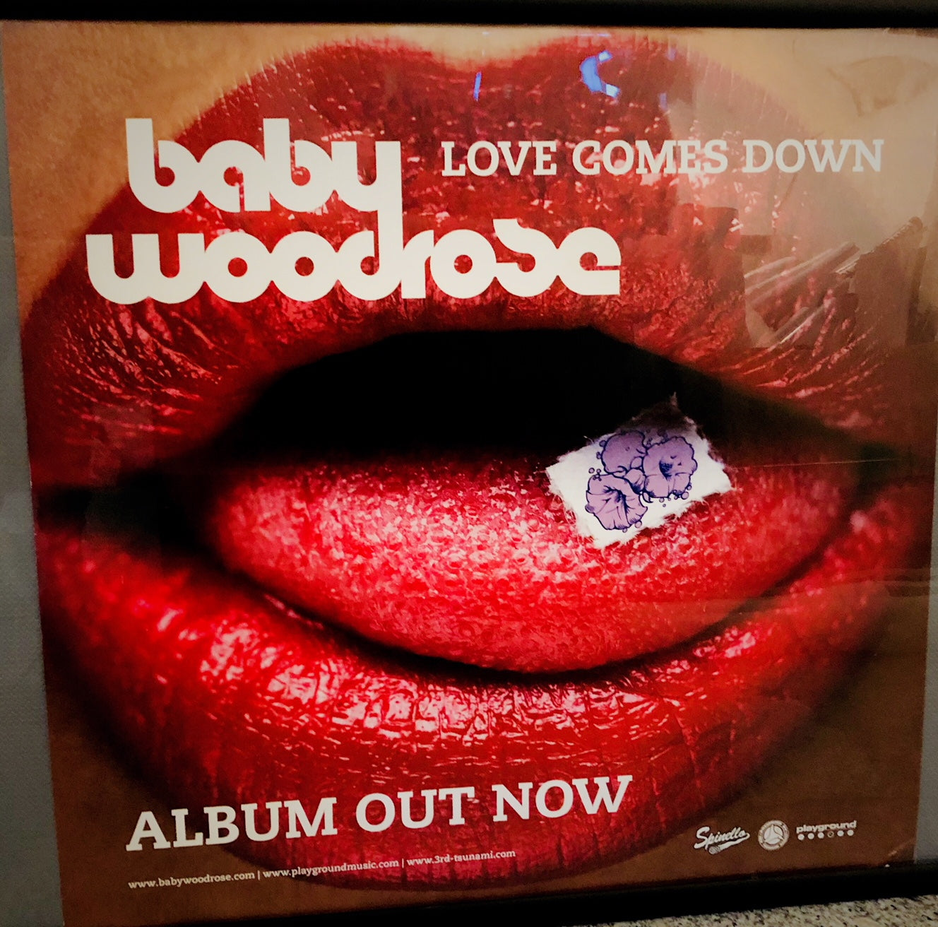 Baby Woodrose - Love comes down - Poster