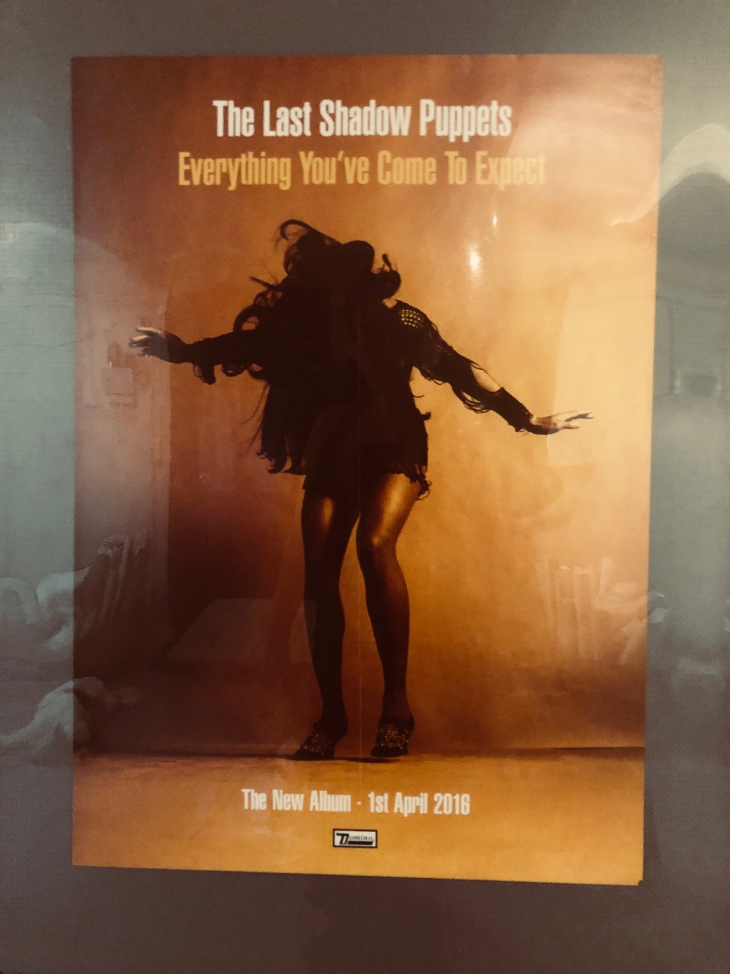 Last Shadow puppets - Everything you’ve come to expect - Poster