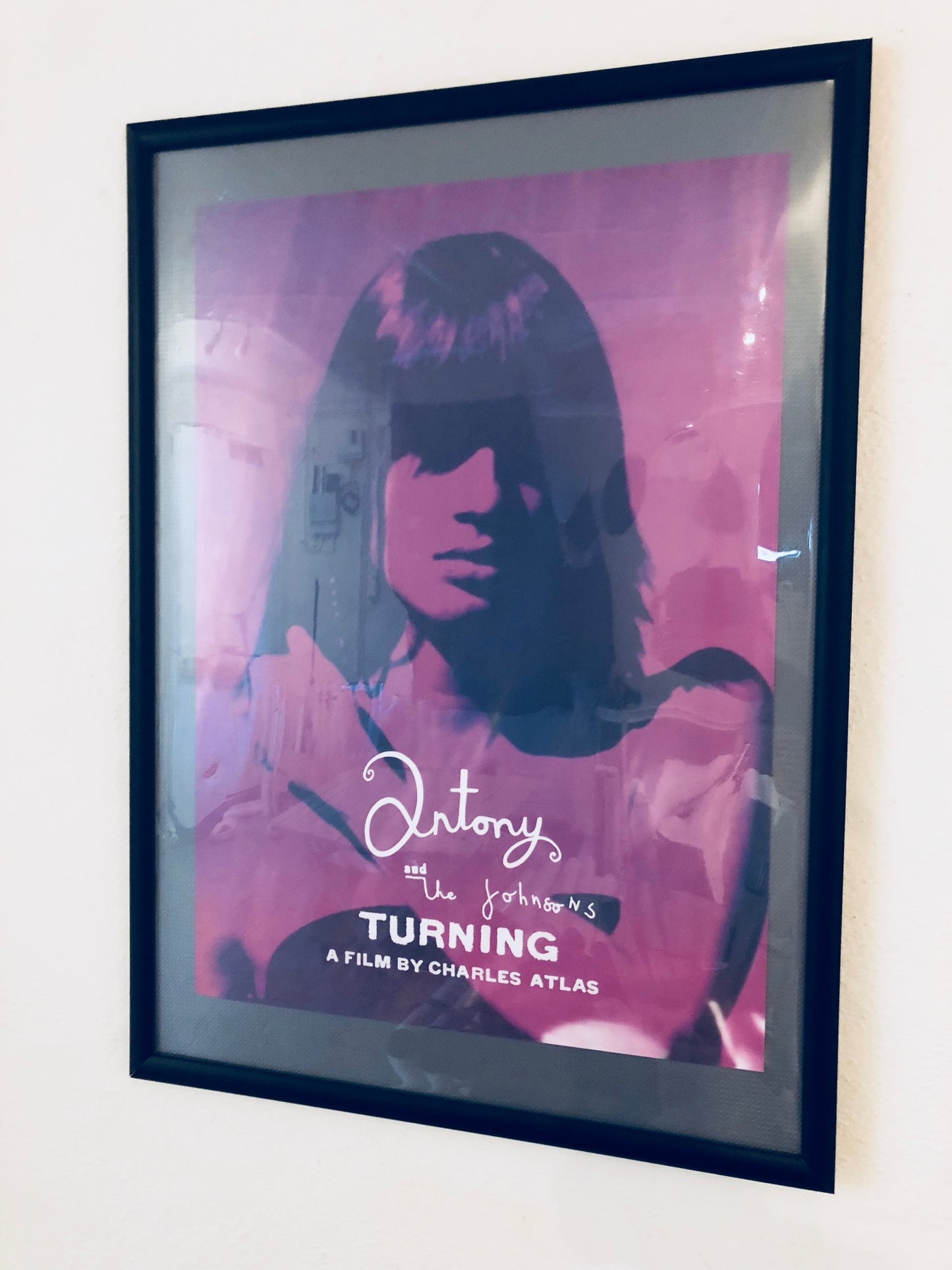Anthony and the Johnson - Turning - Poster