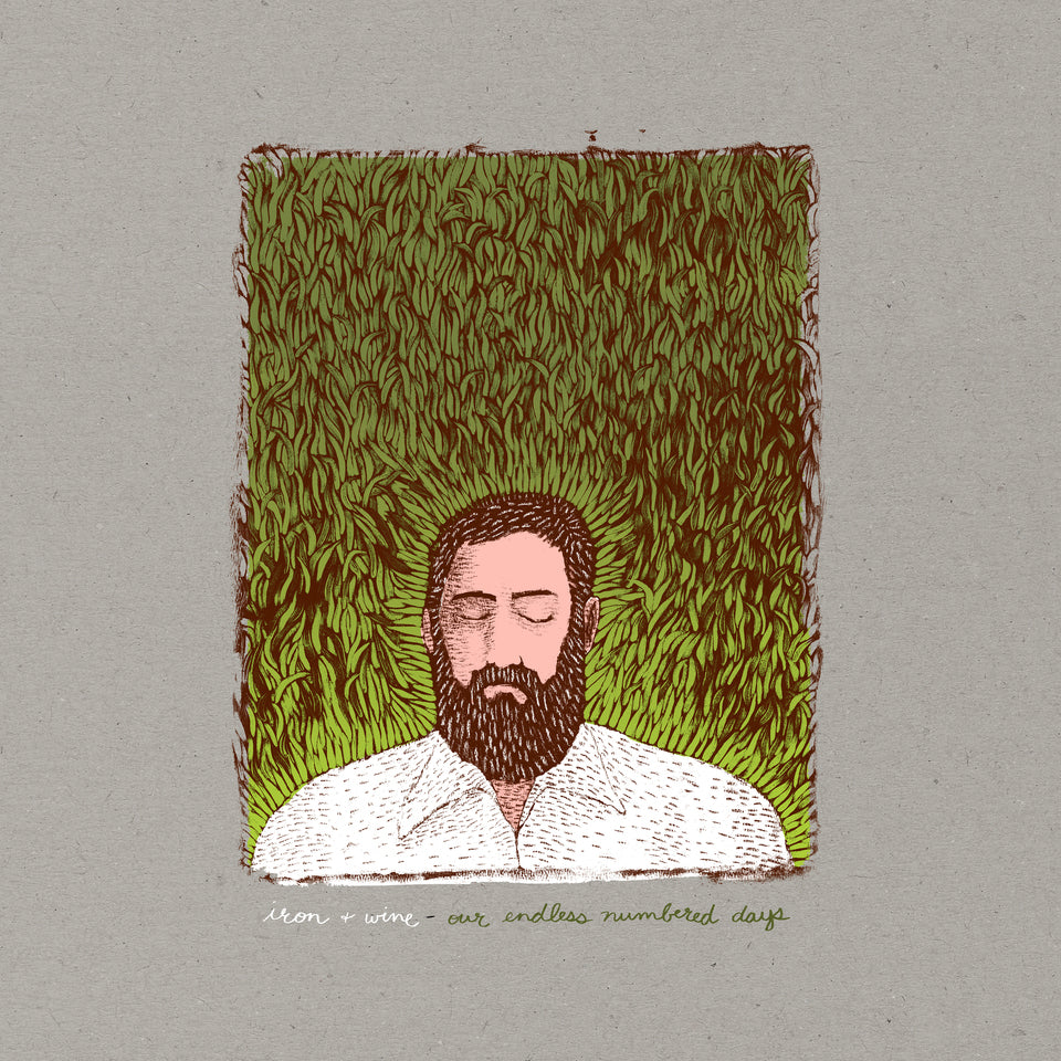 Iron & Wine - Our Endless Numbered Days