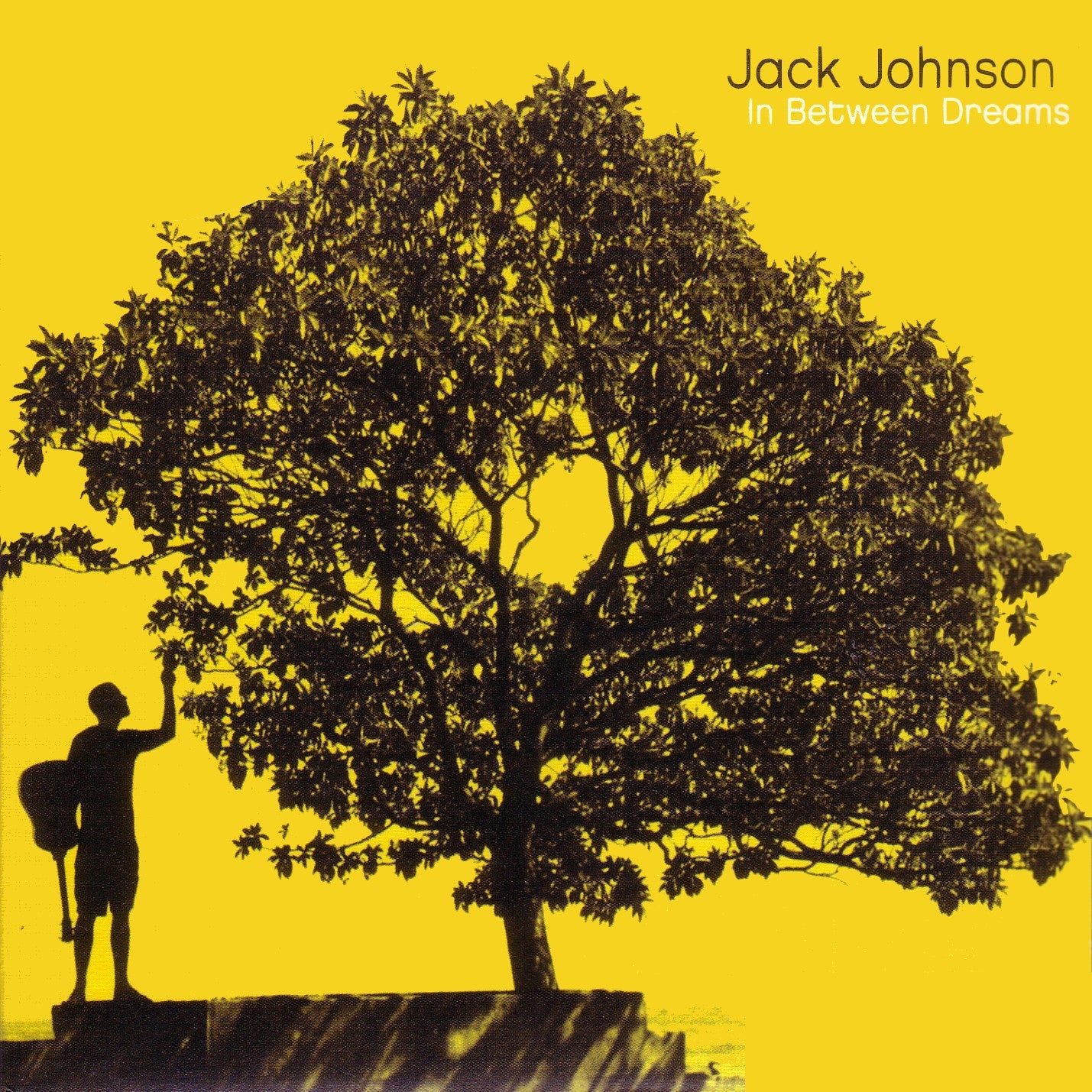 Johnson, Jack - In Between Dreams