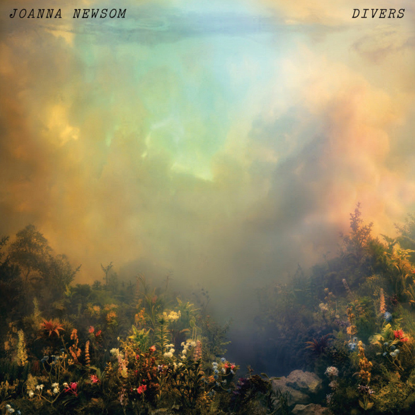 Newsom, Joanna - Divers