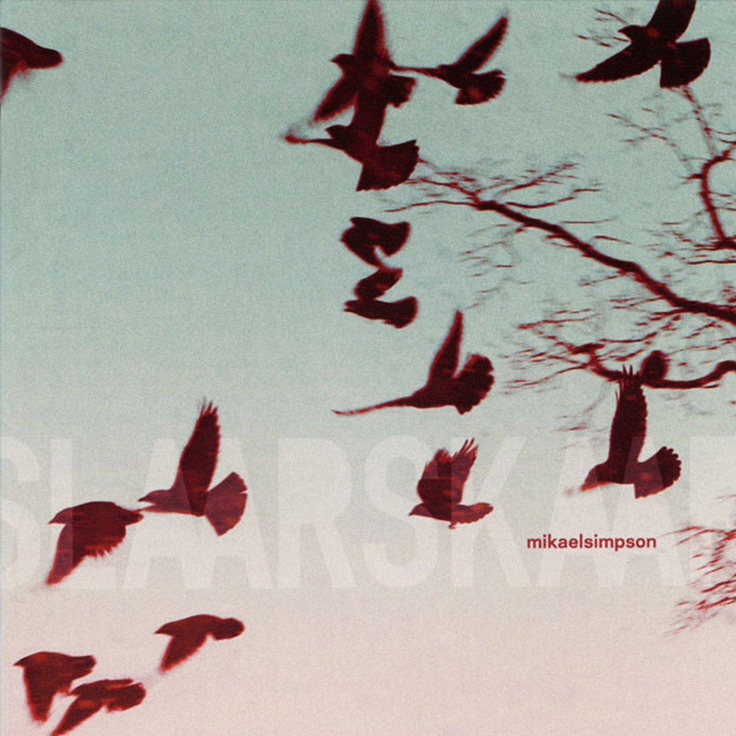 Simpson, Mikael - Slaar Skaar