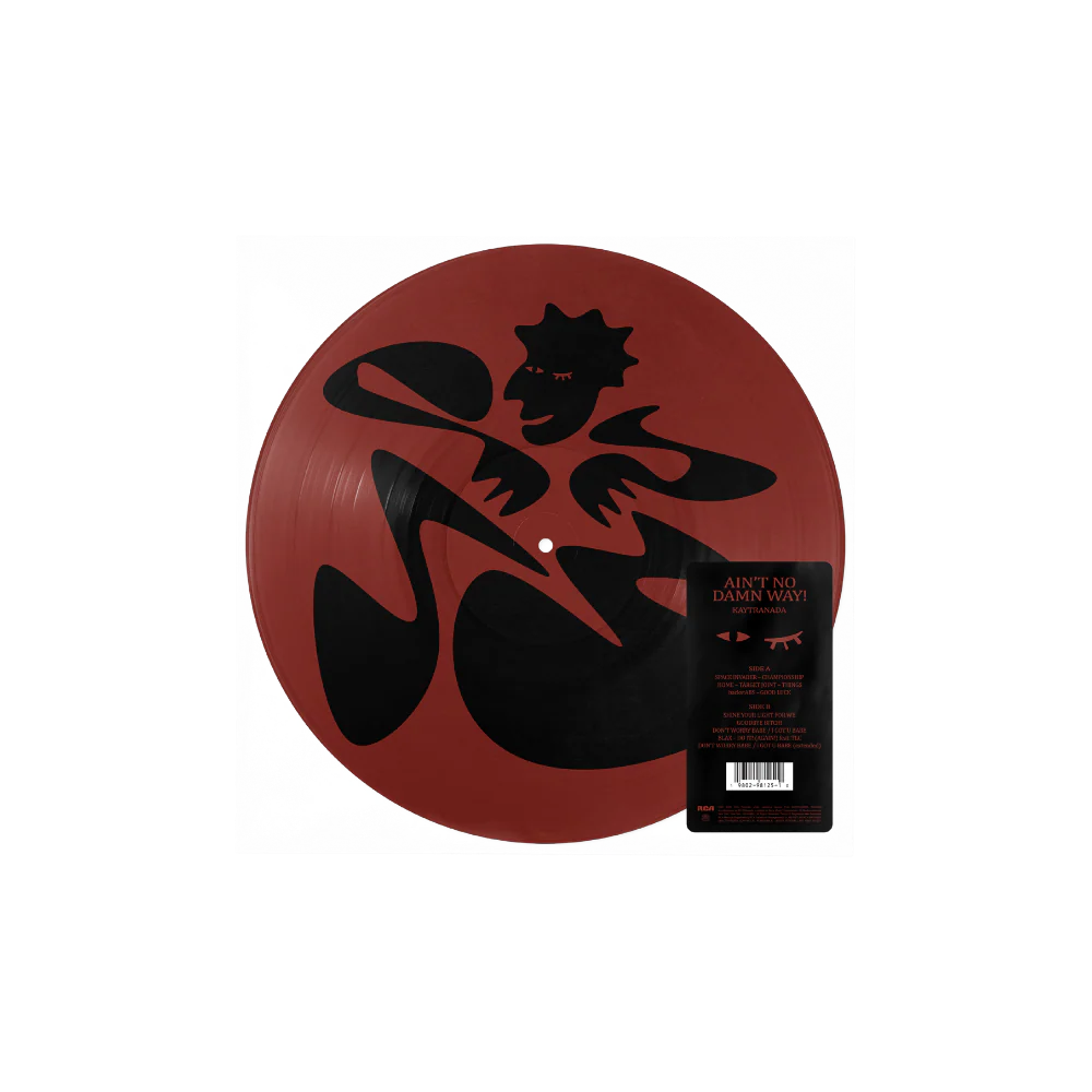 Kaytranada - Ain't No Damn Way!