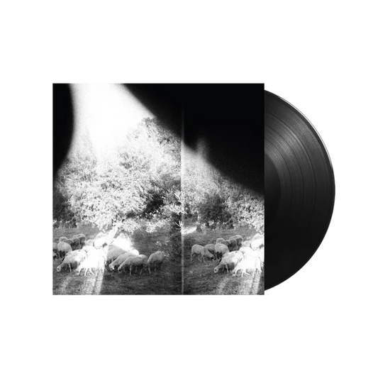 Godspeed You! Black Emperor - Asunder, Sweet & Other Distress