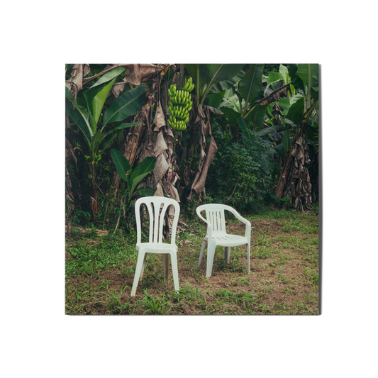 Bad Bunny - Debi Tirar Mas Fotos