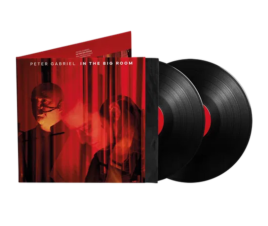 Gabriel, Peter - In The Big Room