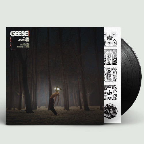 Geese - Projector vinyl