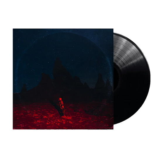 Bridgers, Phoebe - Punisher