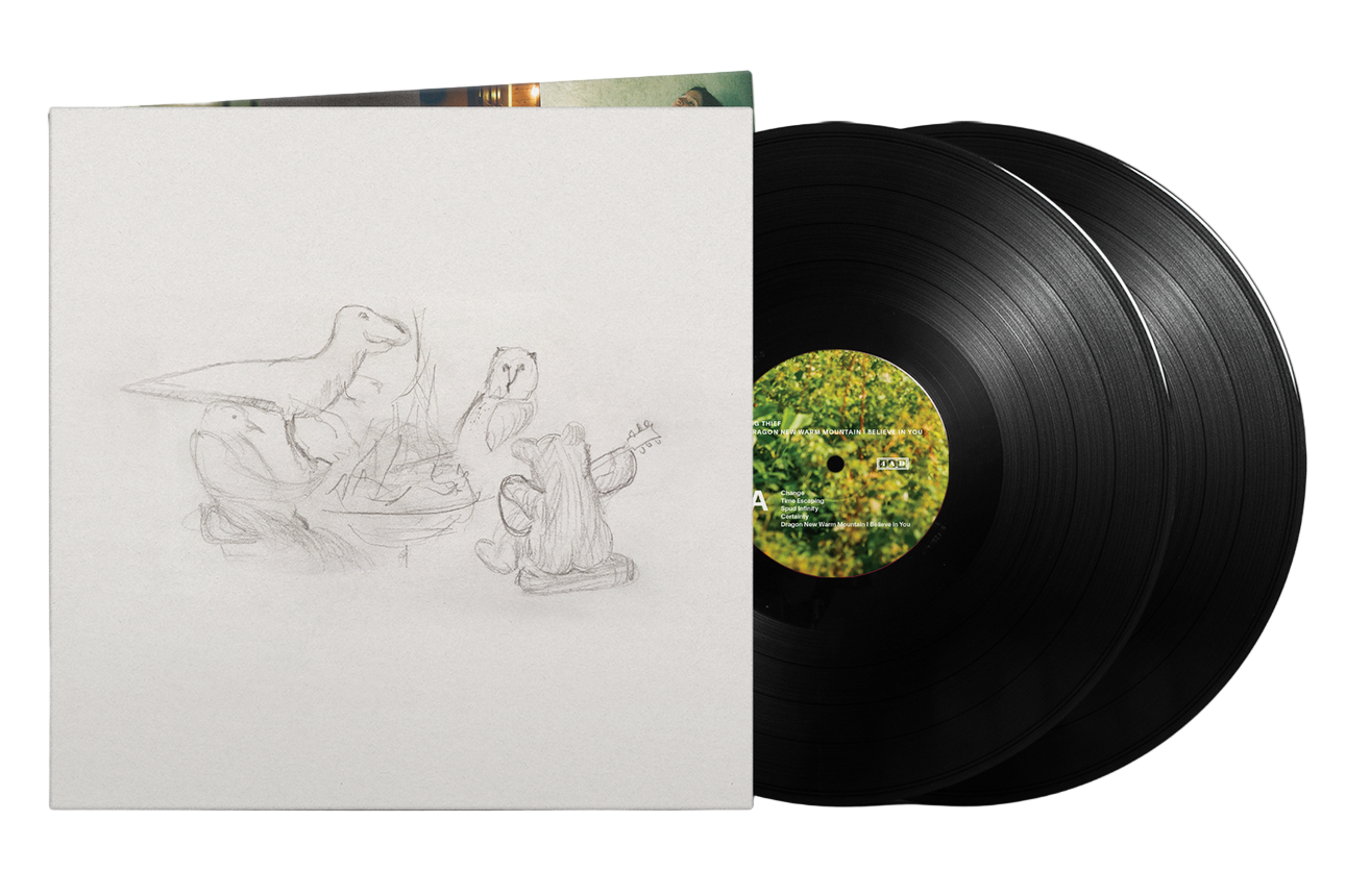 Big Thief - Dragon New Warm Mountain I Believe In You