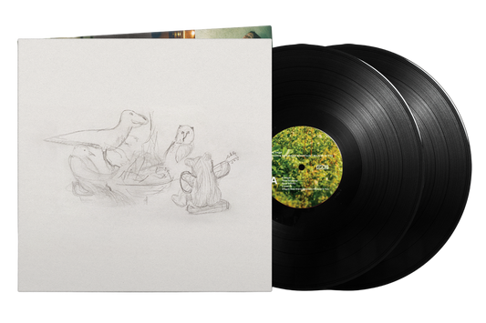 Big Thief - Dragon New Warm Mountain I Believe In You