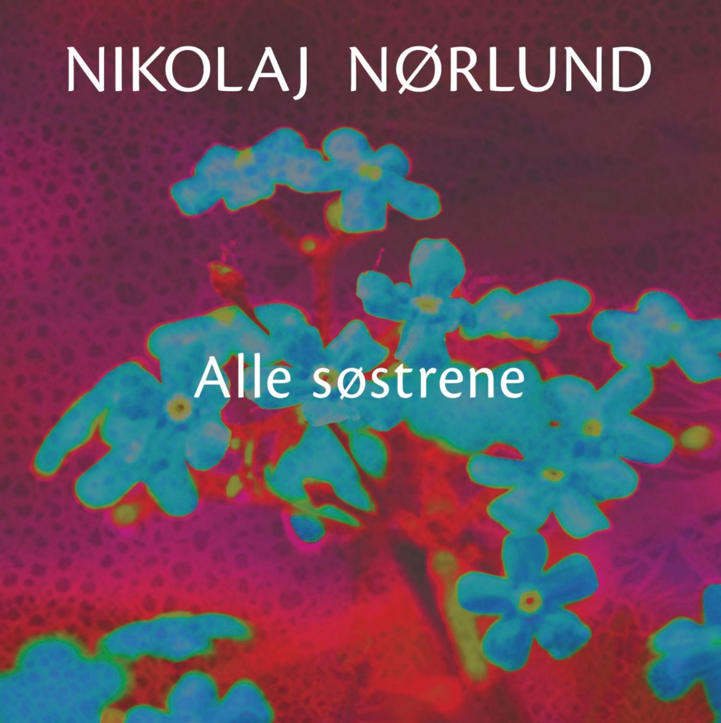 Nørlund, Nikolaj - Alle Søstrene