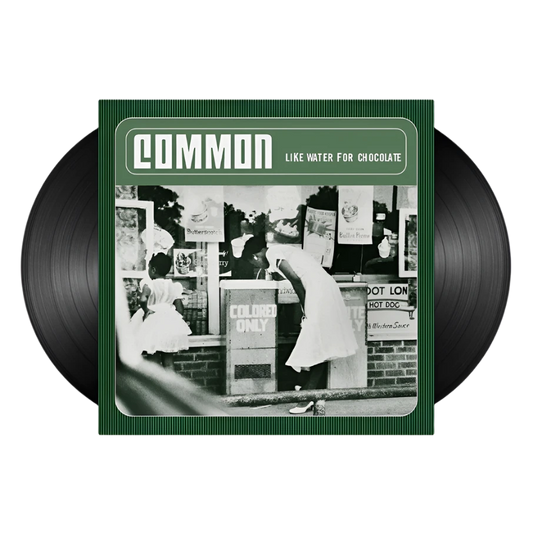 Common - Like Water For Chocolate