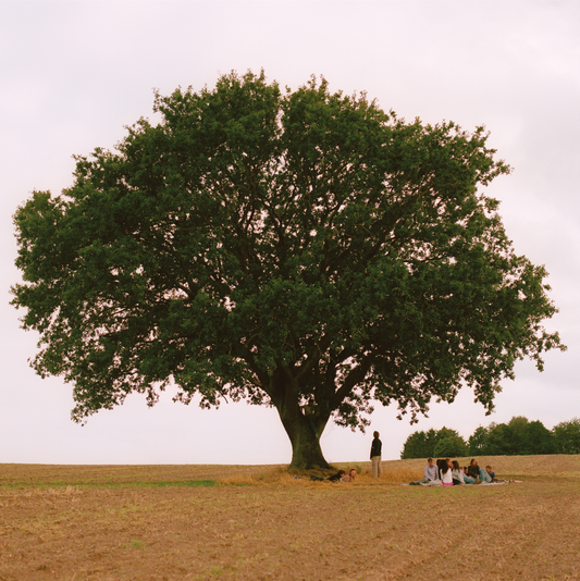 APHACA - Vild Ungdom