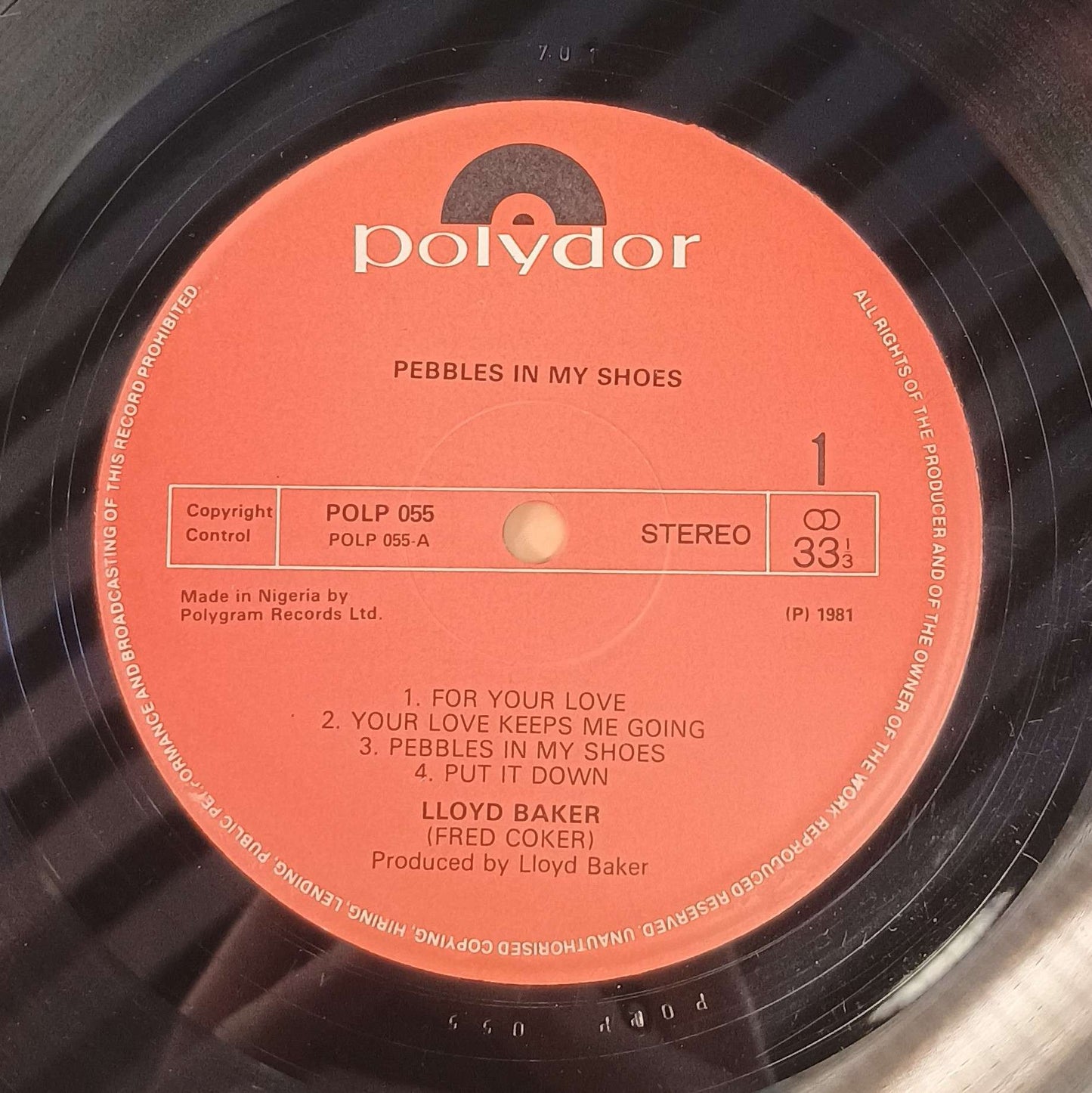 Lloyd Baker - Pebbles In My Shoes