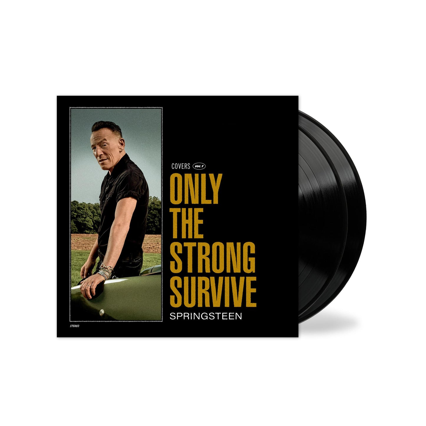 Springsteen, Bruce - Only The Strong Survive