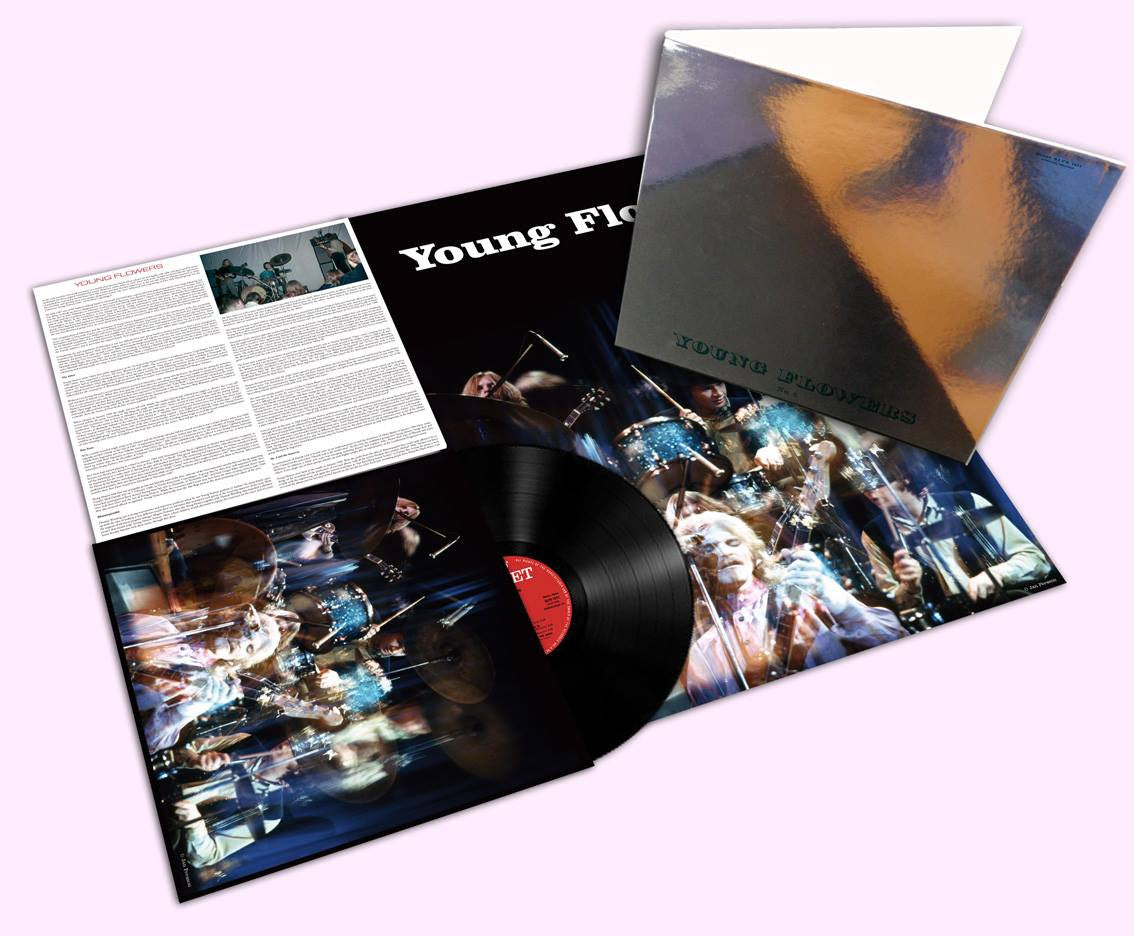 Young Flowers - No 2