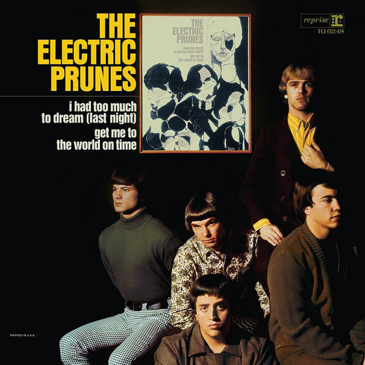 Electric Prunes - I Had Too Much to Dream (Last Night)