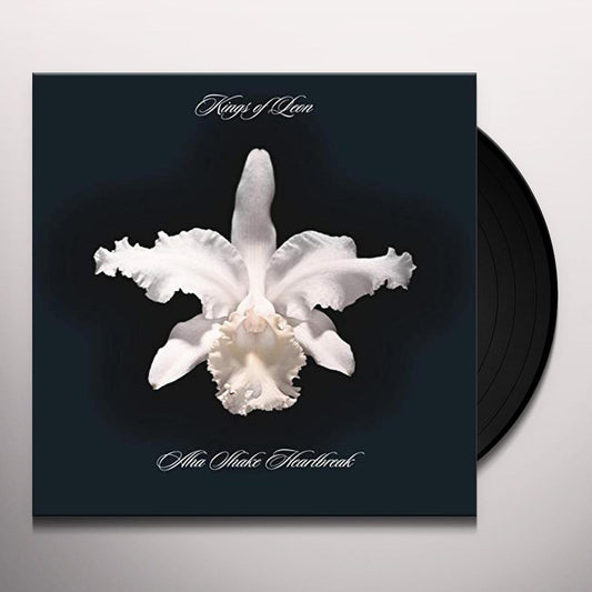 Kings Of Leon - Aha Shake Heartbreak