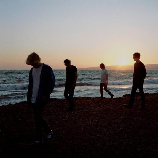 Charlatans  - Modern Nature