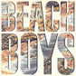 Beach Boys - Beach Boys