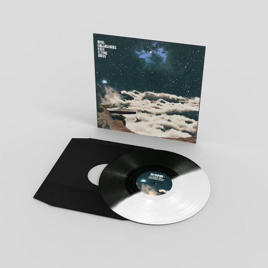 Gallagher's, Noel High Flying Birds - It's A Beautiful World (Remixes)