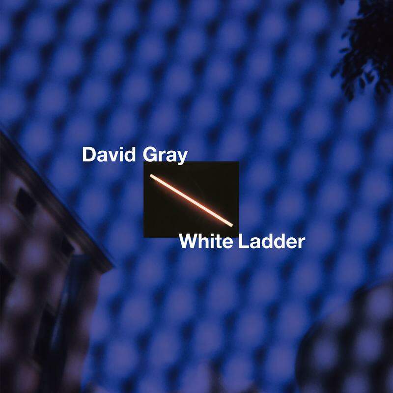 Gray, David - White ladder