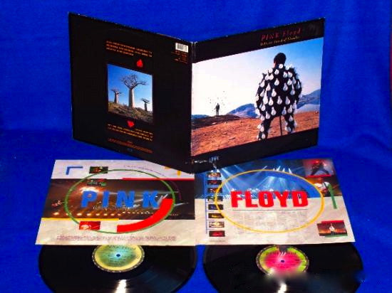 Pink Floyd - Delicate Sound Of Thunder