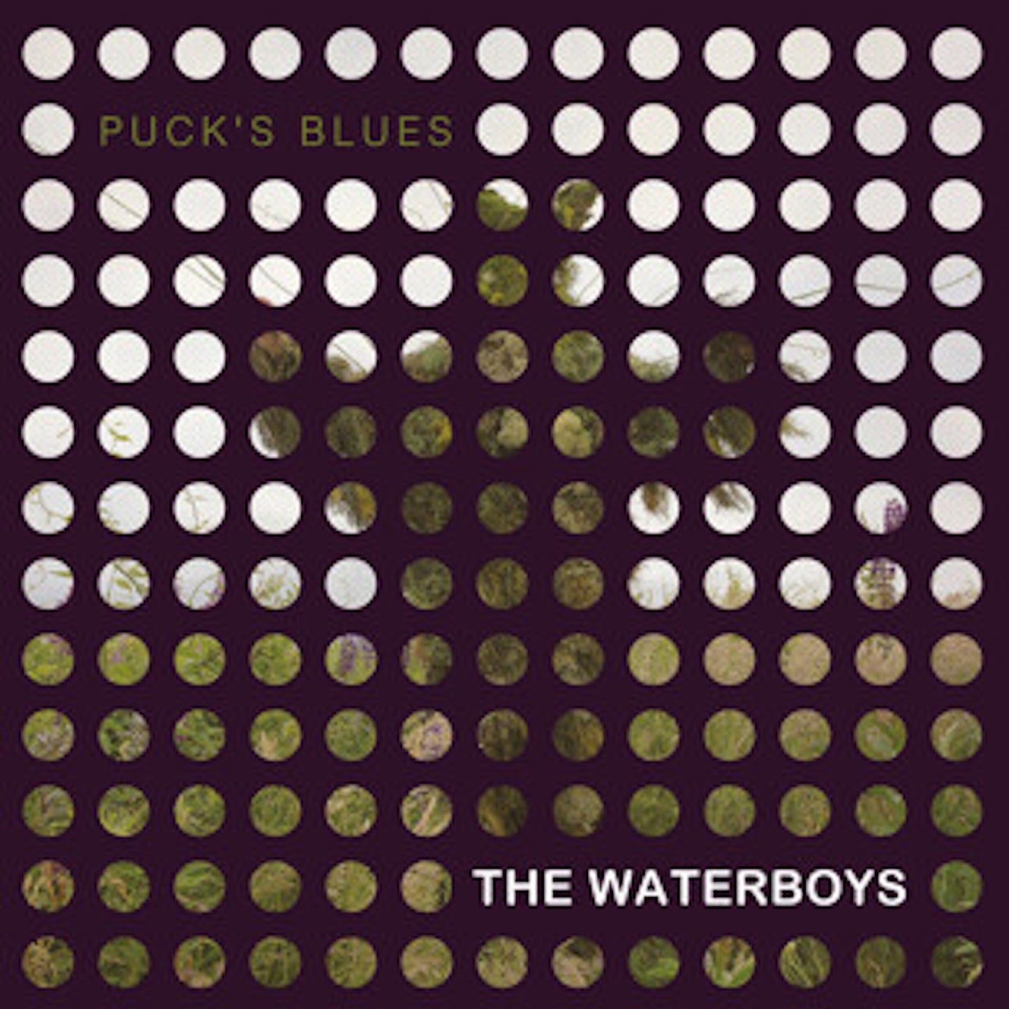 Waterboys - Puck's Blues