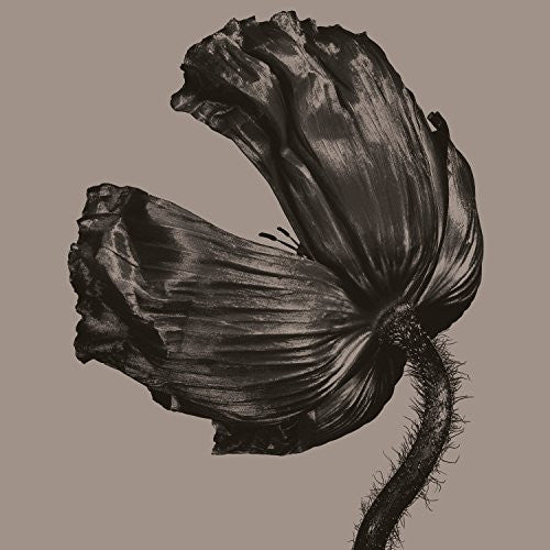 Pet Shop Boys -  Release