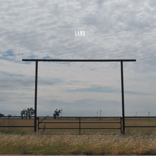 Sweet Pete & The land Band - Land