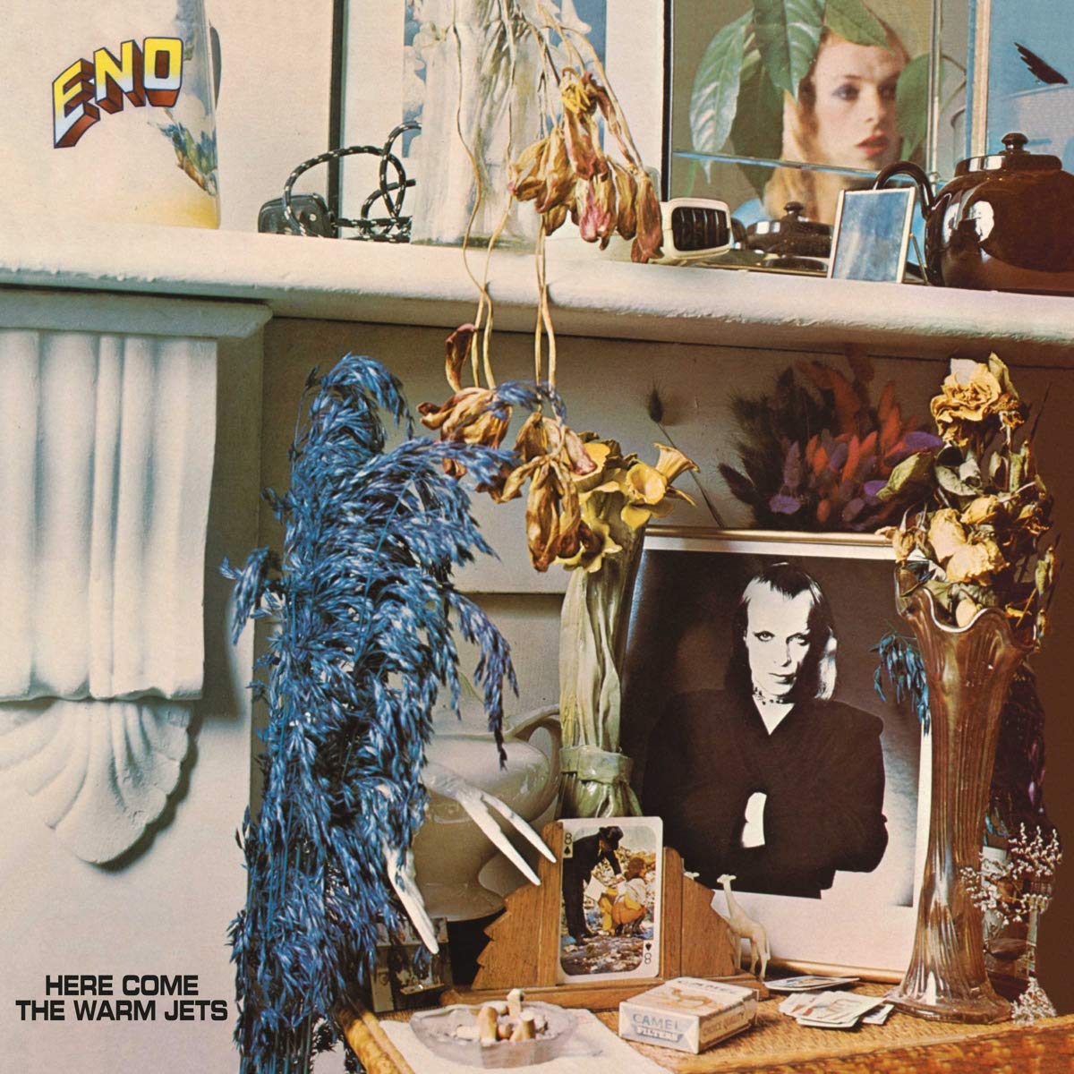Eno, Brian ‎– Here Come The Warm Jets