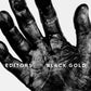 Editors - Black Gold Best of