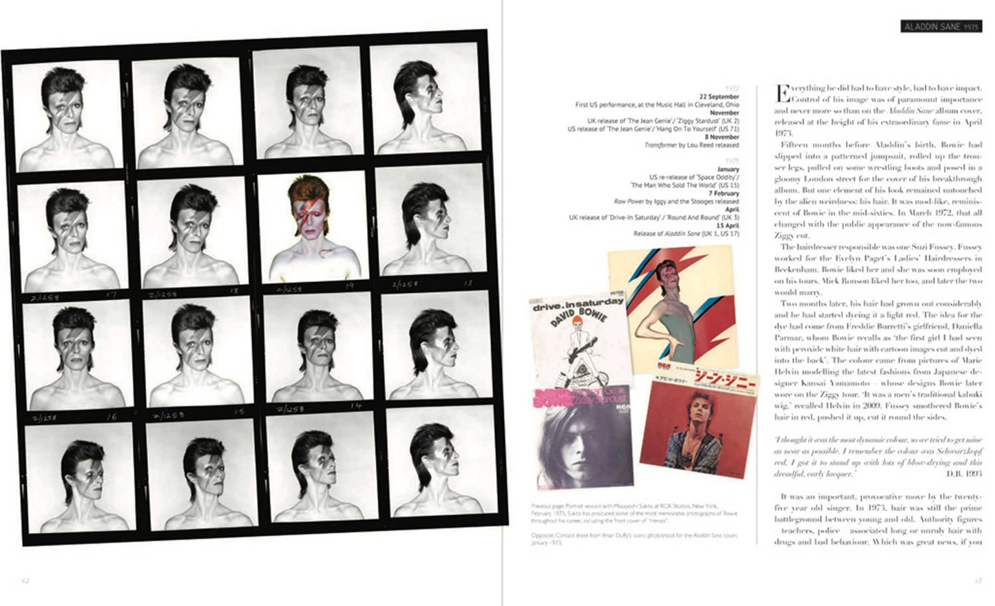 Bowie: Album by Album - Book