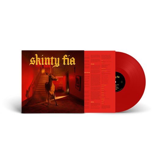 Fontaines D.C. ‎– Skinty Fia