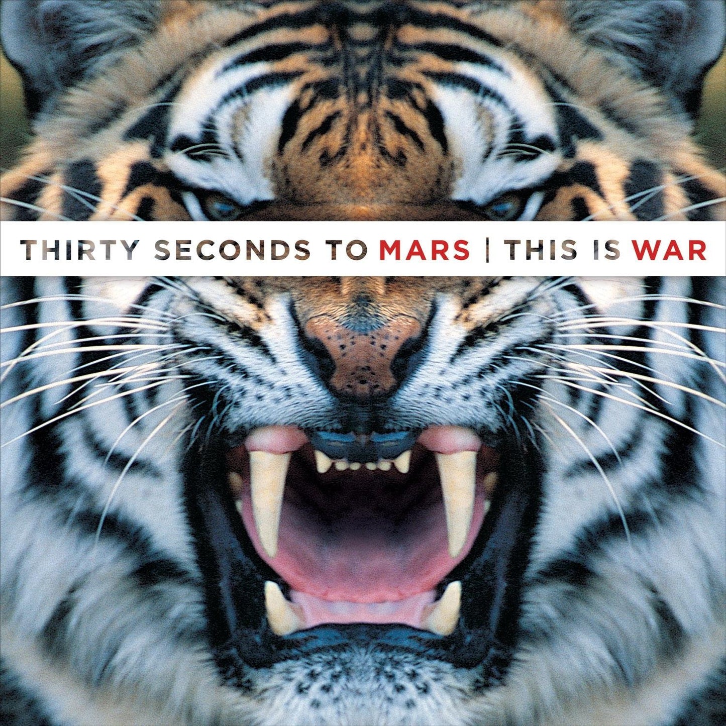 30 Seconds To Mars -  This Is War - RecordPusher  