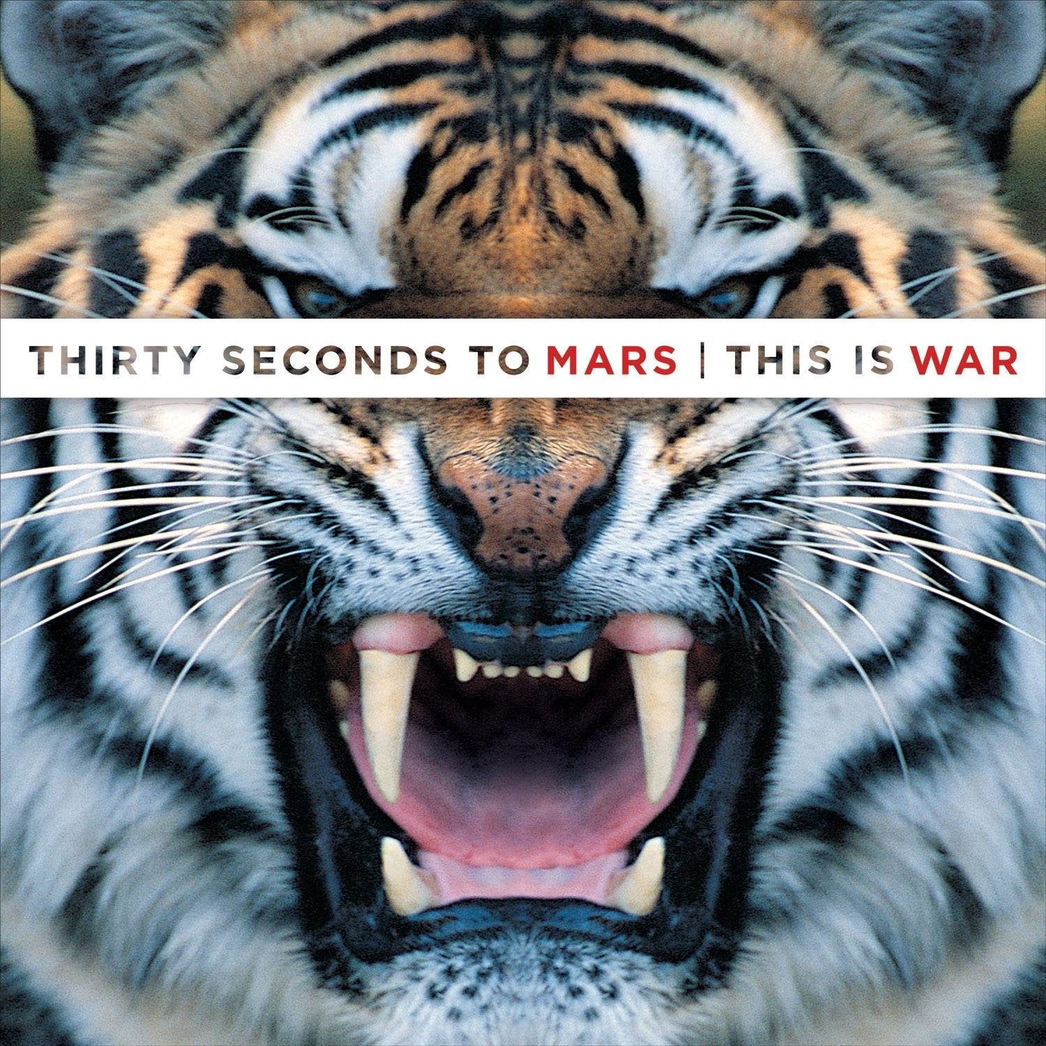 30 Seconds To Mars -  This Is War - RecordPusher  