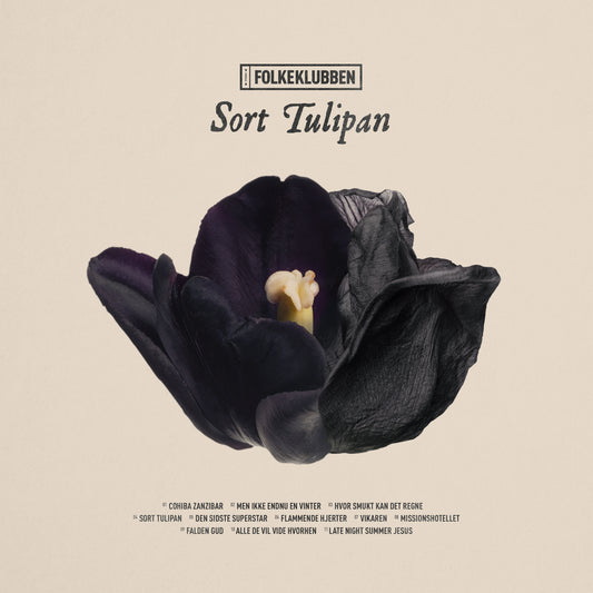 Folkeklubben - Sort Tulipan